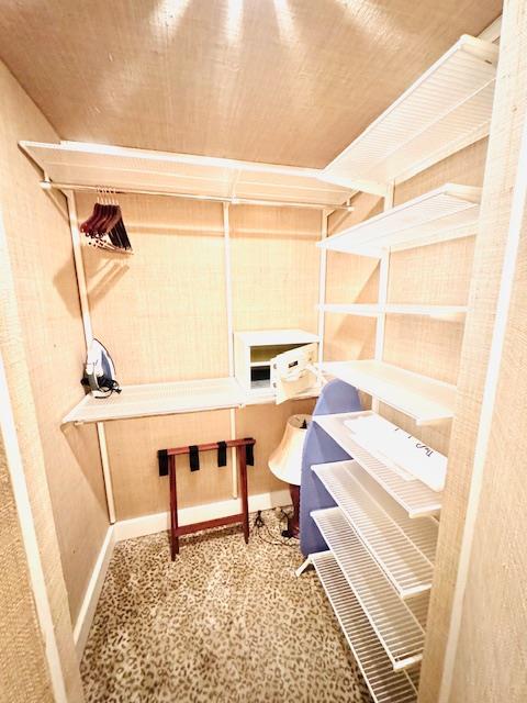 2163218_8aff9625-53fe-462a-9f5a-42a066344dbc